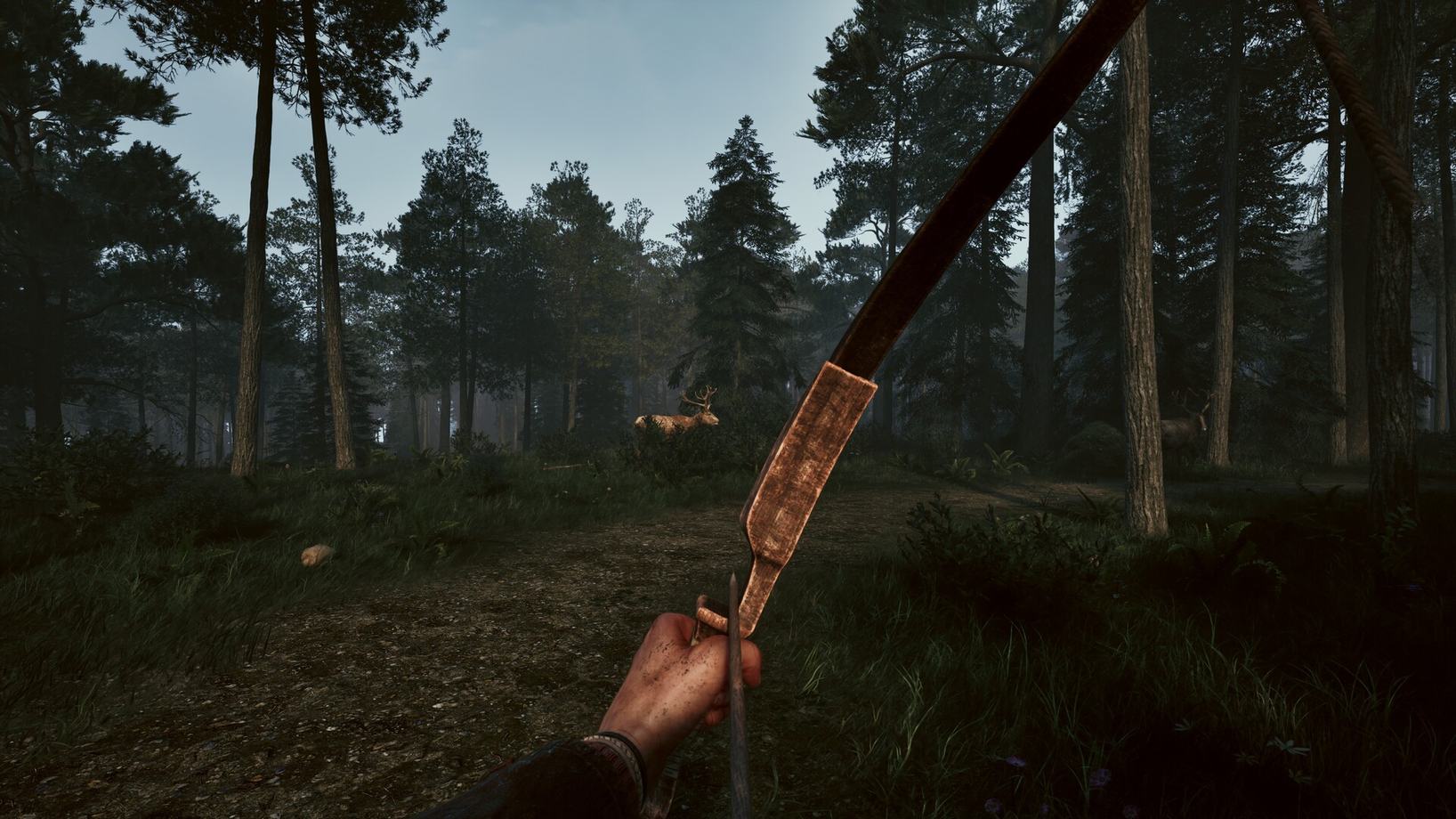 First-person view drawing a bow on a deer in the forest